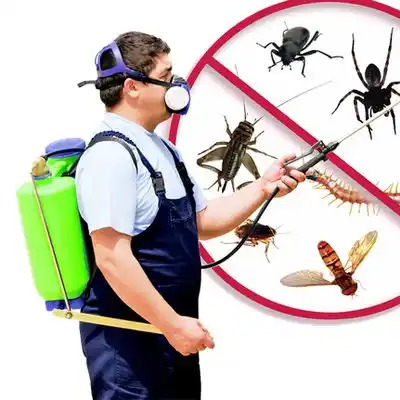 pest control Briarcliff Manor